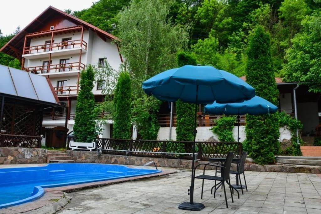 Hotel Vila Maria Bran Simon Exteriér fotografie